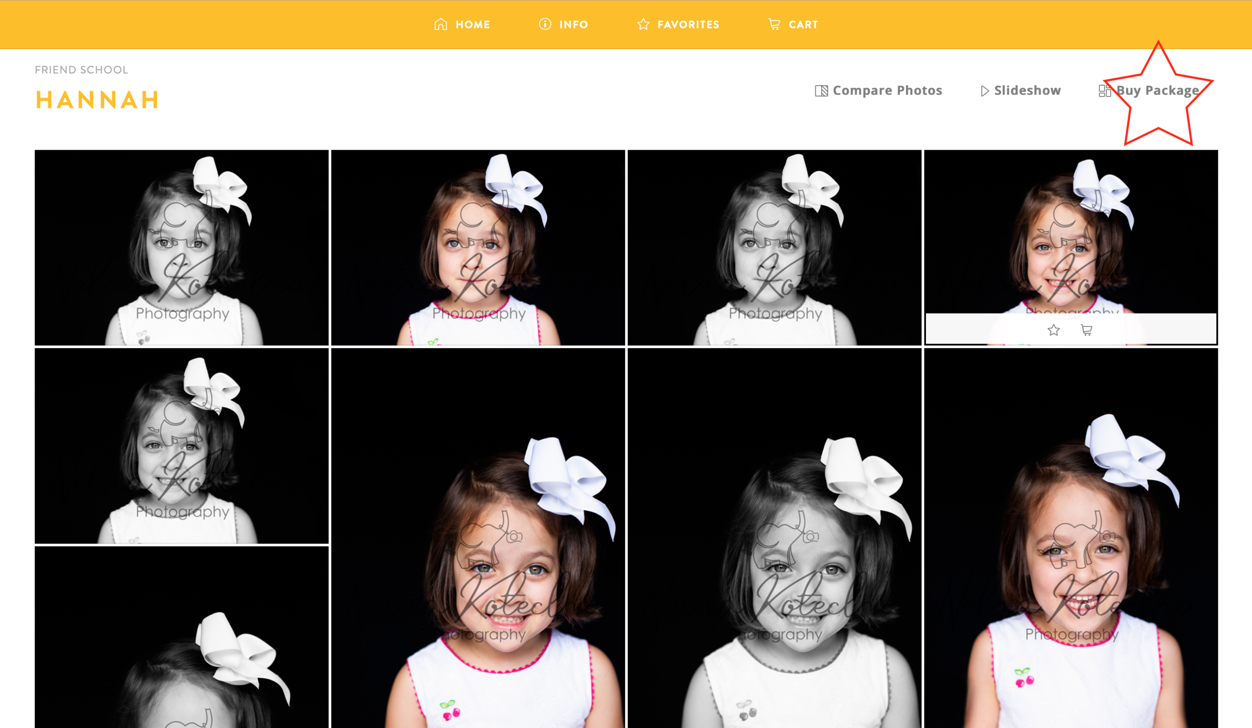 Screen Shot 2021-06-01 at 11.45.43 AM.png